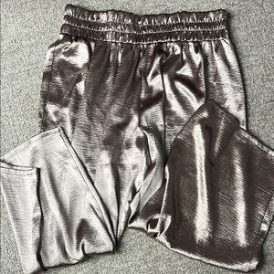 Shiny Metallic Pants